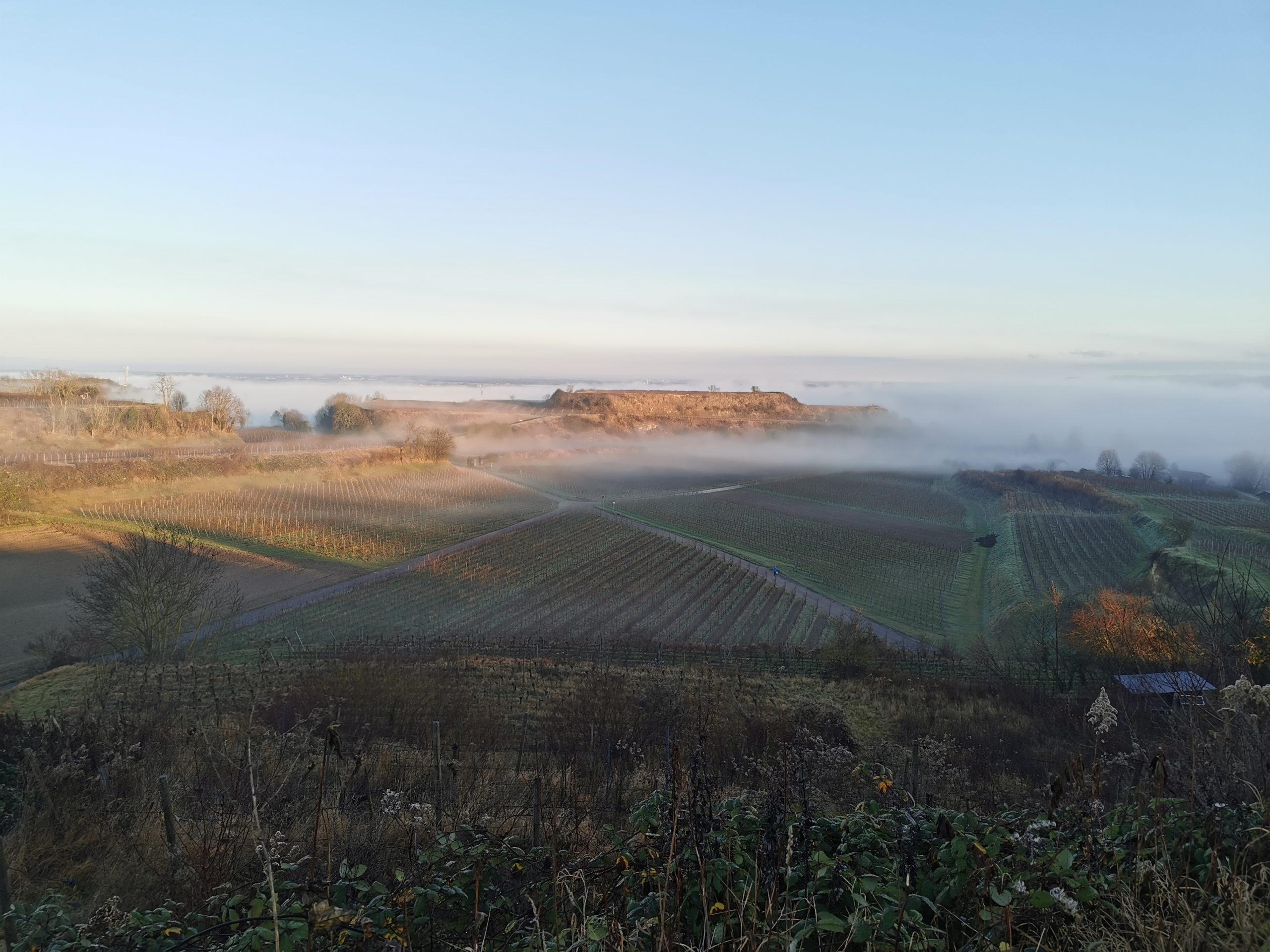 Kaiserstühler Gästeführer