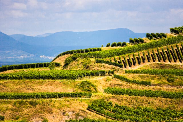 Hüttenberg mit Vogesenblick